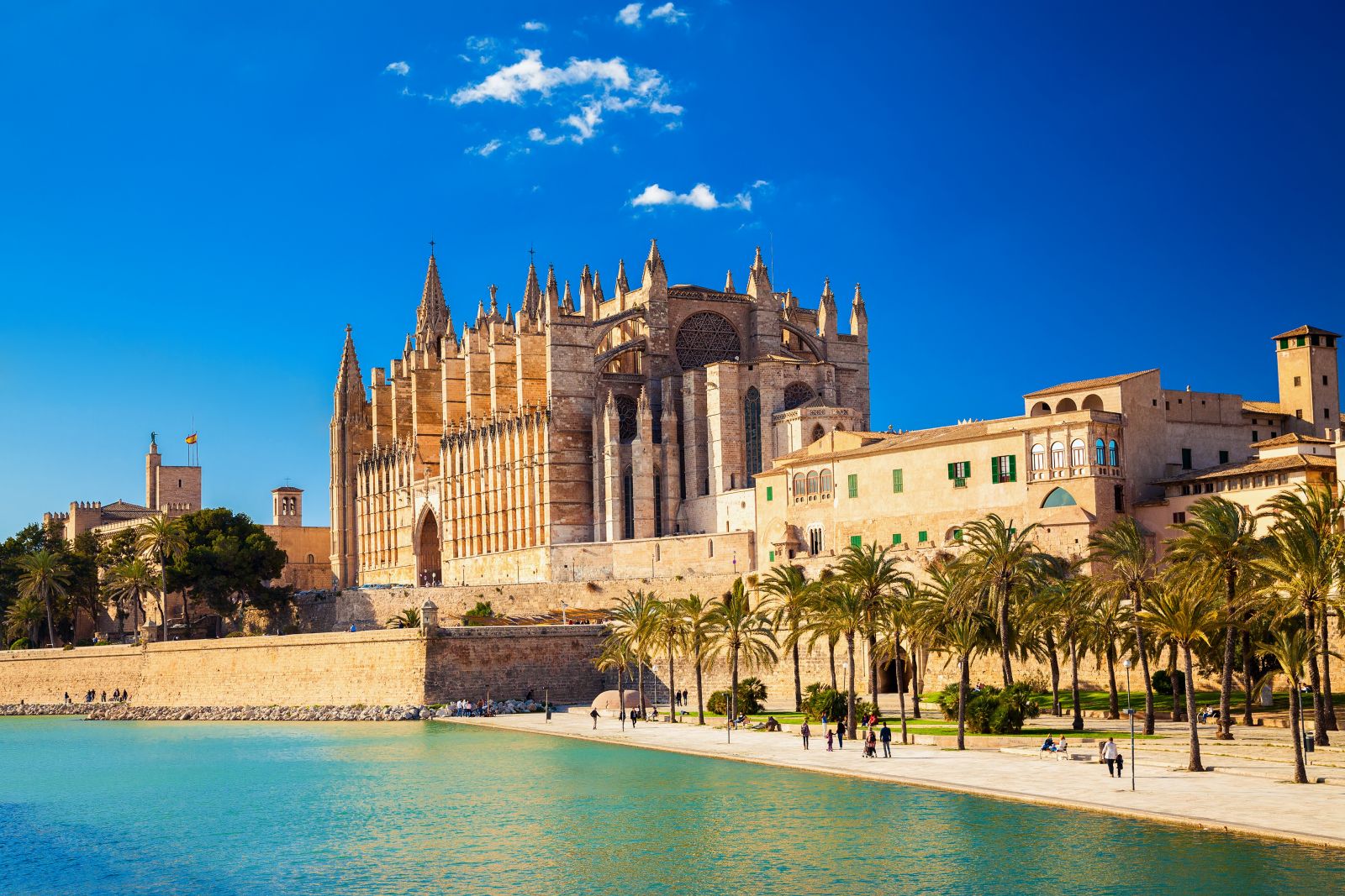 Das Wahrzeichen der Insel Mallorca liegt ganz in der Nähe vom Hafen: die Kathedrale Le Seu. Auch in Spaziergang durch die Altstadt ist empfehlenswert. ©Anna Lurye/AdobeStock