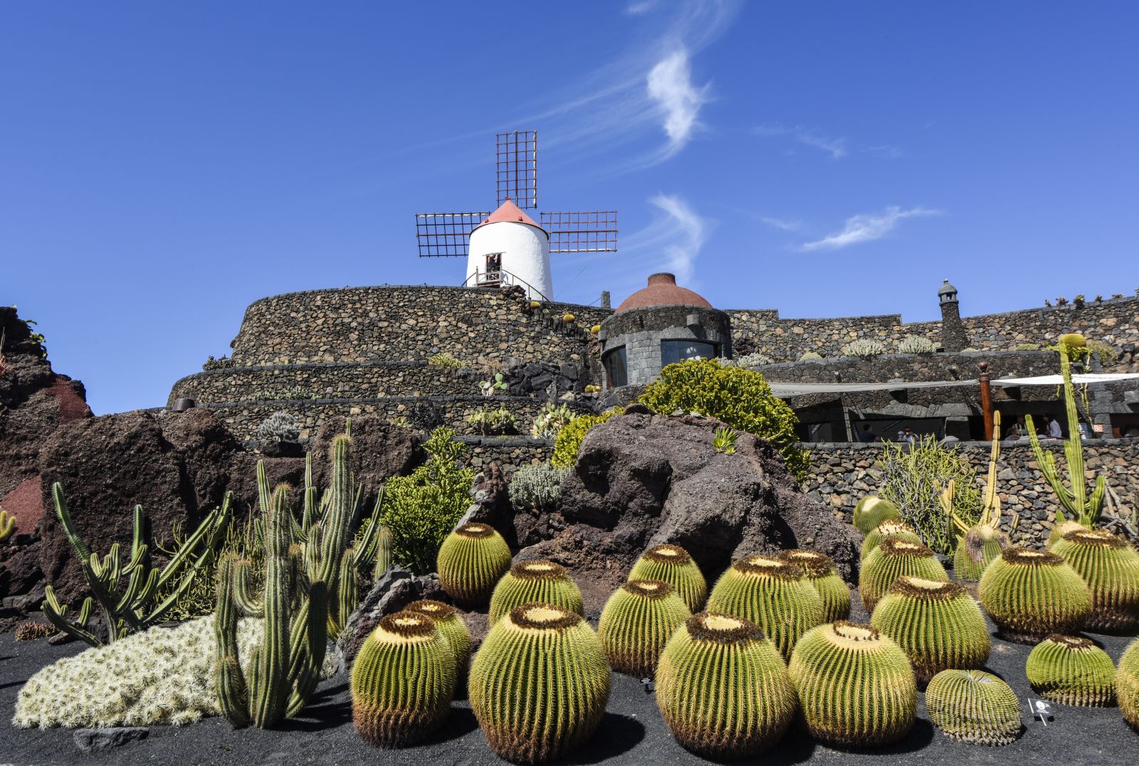 Lanzarote besticht durch die Kombination aus beeindruckender Vulkanlandschaft, der fantasievollen Architektur von César Manrique und einer besonderen Vegetation, wie hier im Jardín de Cactus. ©Irene Lorenz/AdobeStock