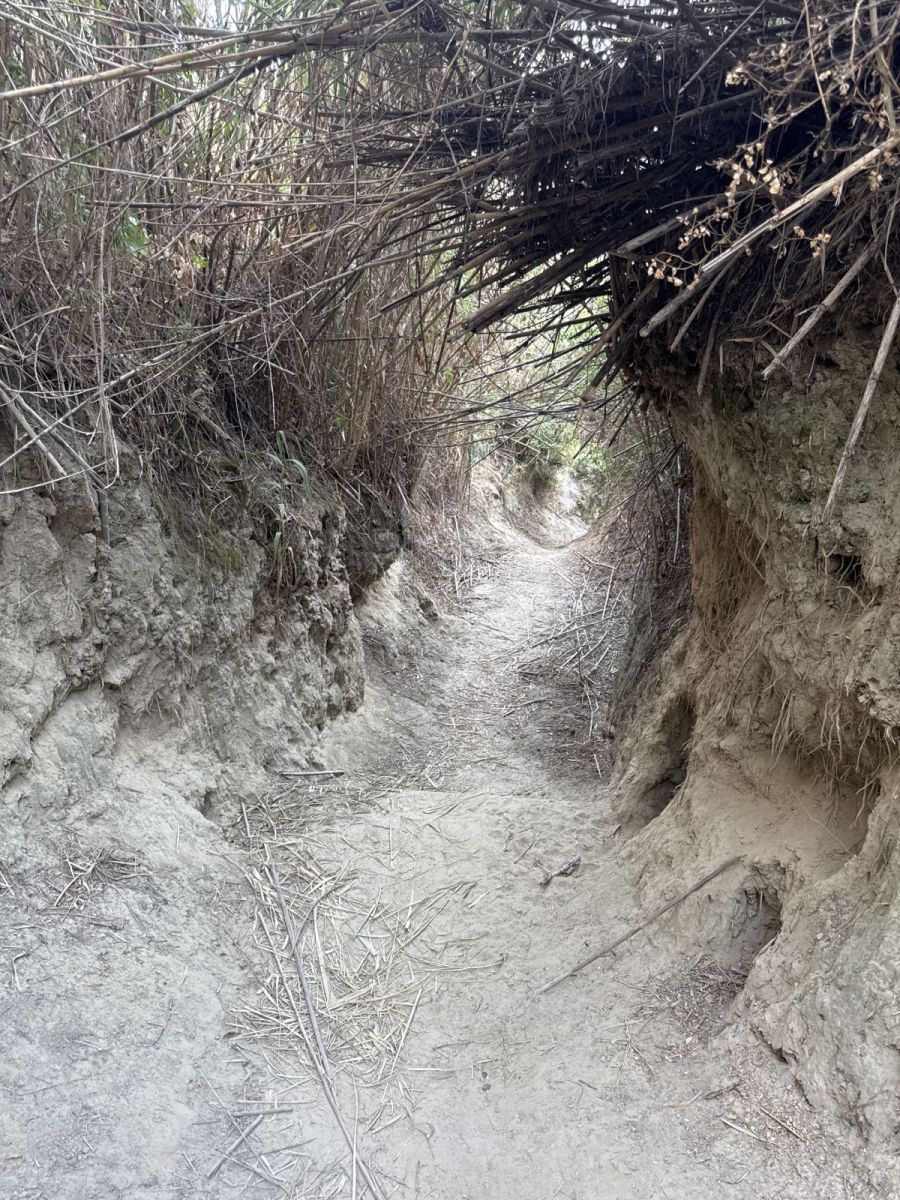otok_susak_trail_zum_leuchturm