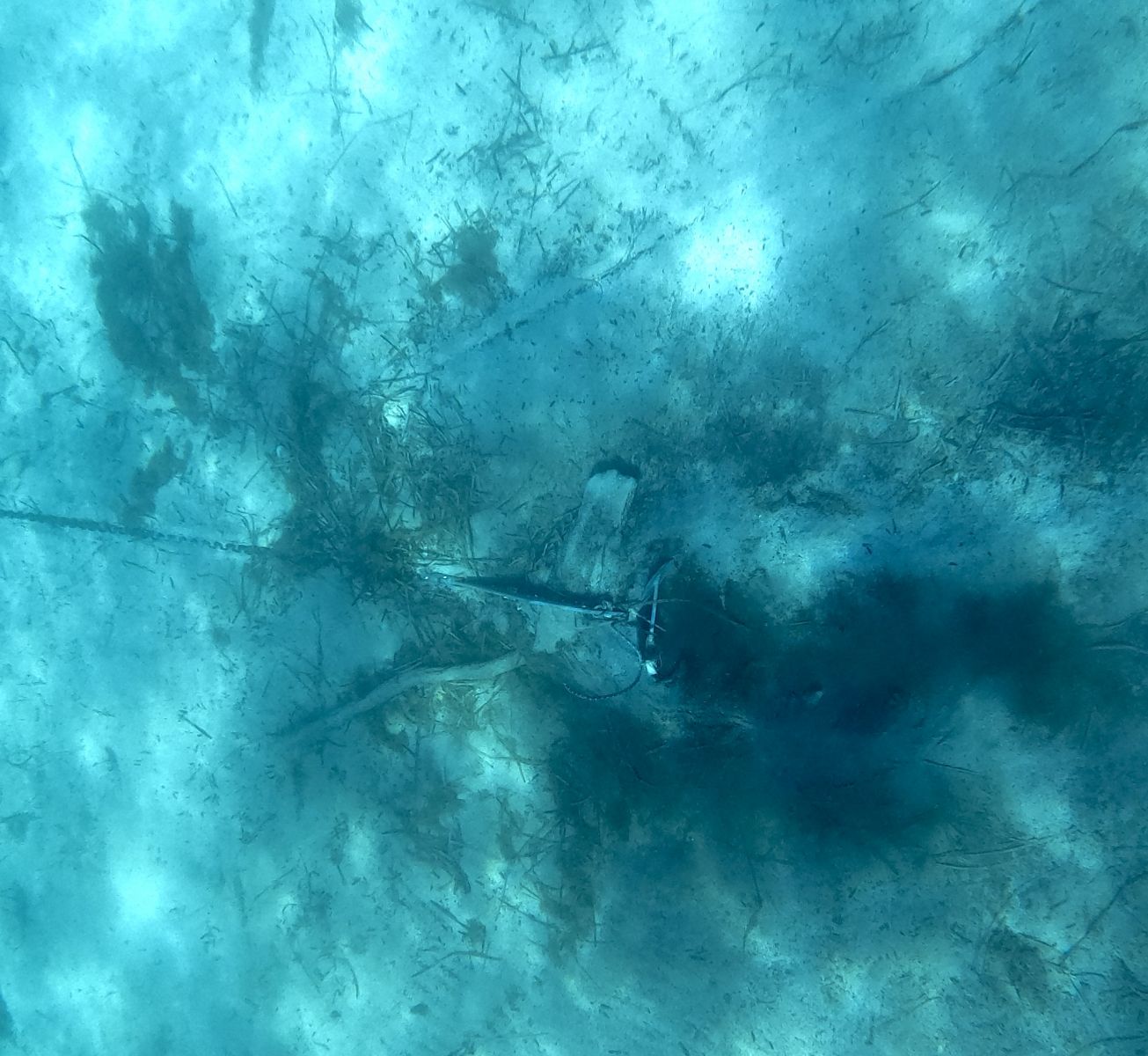 DCIM100GOPROGOPR2536.JPG