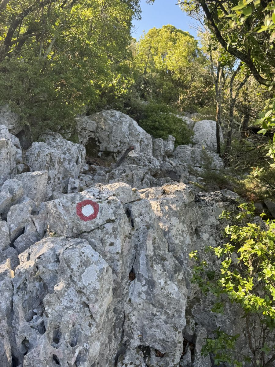 otok_ugljan_hike_Scah-Gipfel