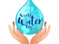 Heimische und internationale Wasserschutzorganisationen