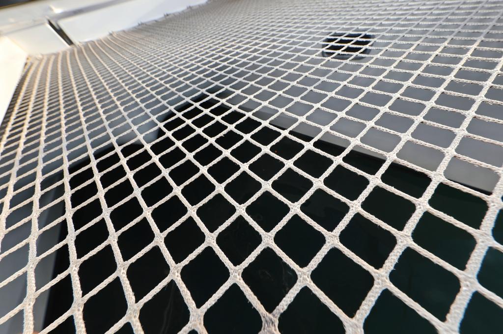 Original-Foto | aufgenommen am 03.11.2023