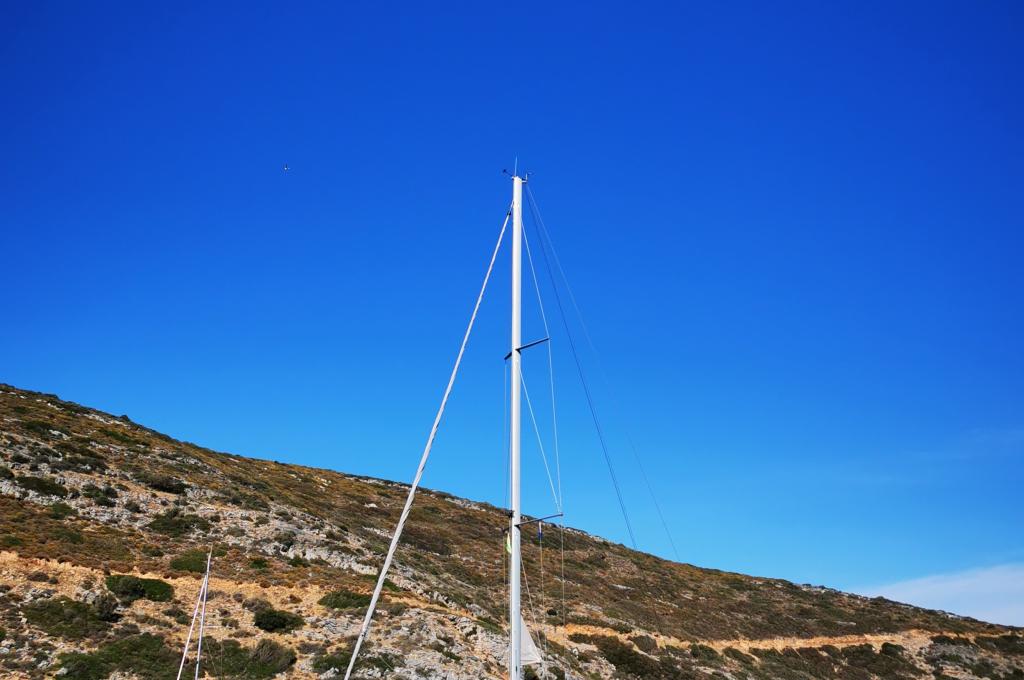 Katalog-Foto (evt. abweichend) | aufgenommen am 12.05.2022