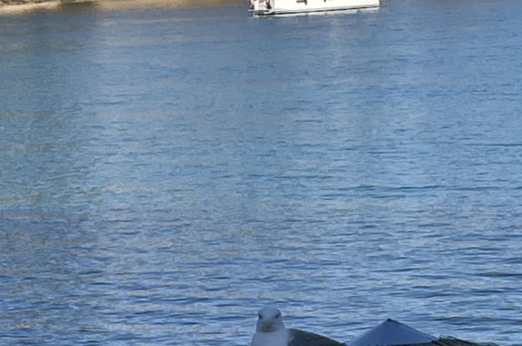 Original-Foto eines Kunden