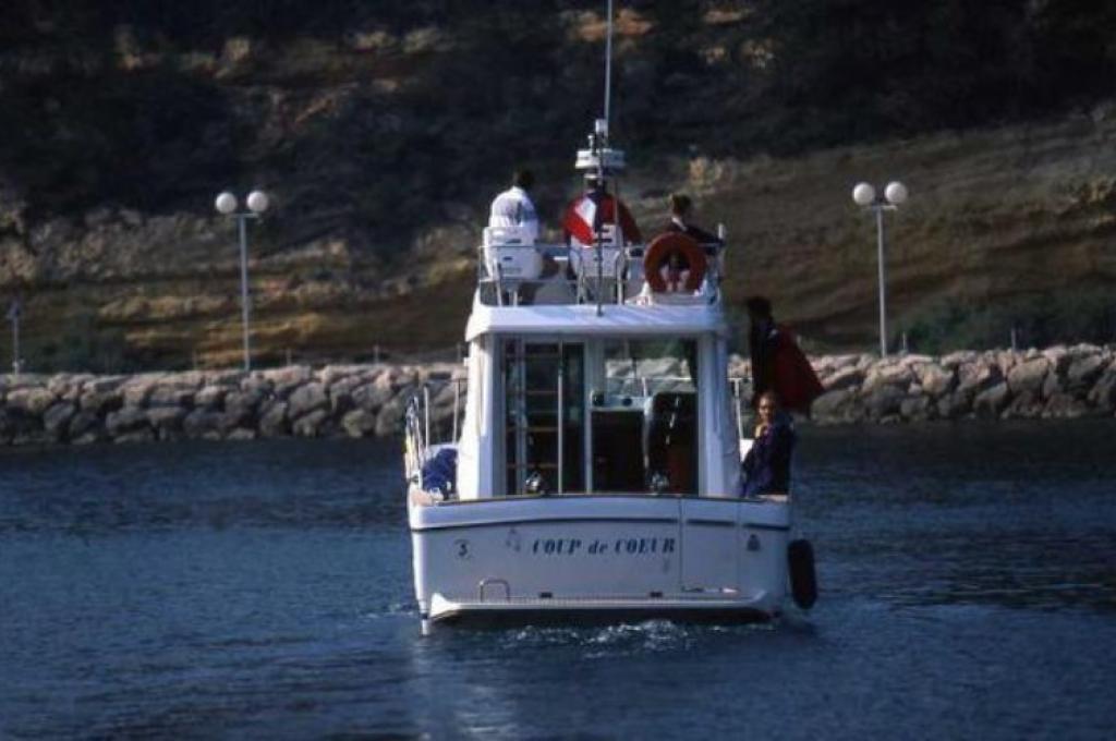 Katalog-Foto (evt. abweichend)