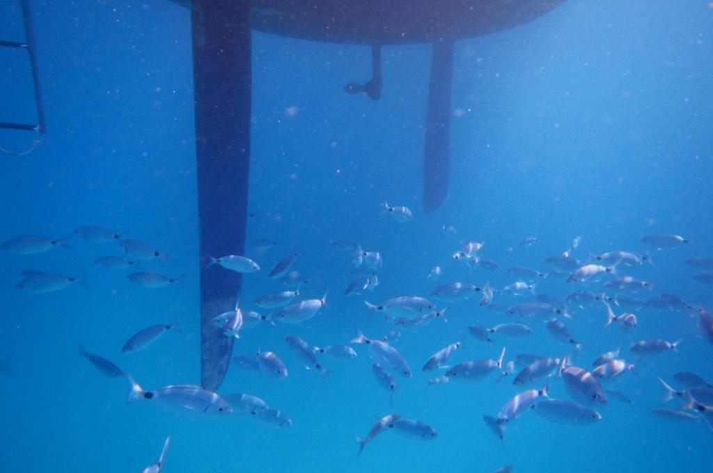 Original-Foto eines Kunden | aufgenommen am 10.08.2019