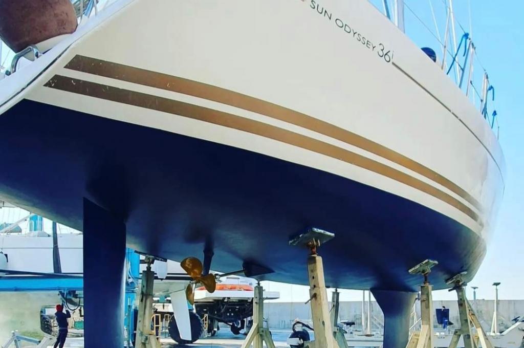 Original-Foto | aufgenommen am 10.10.2023