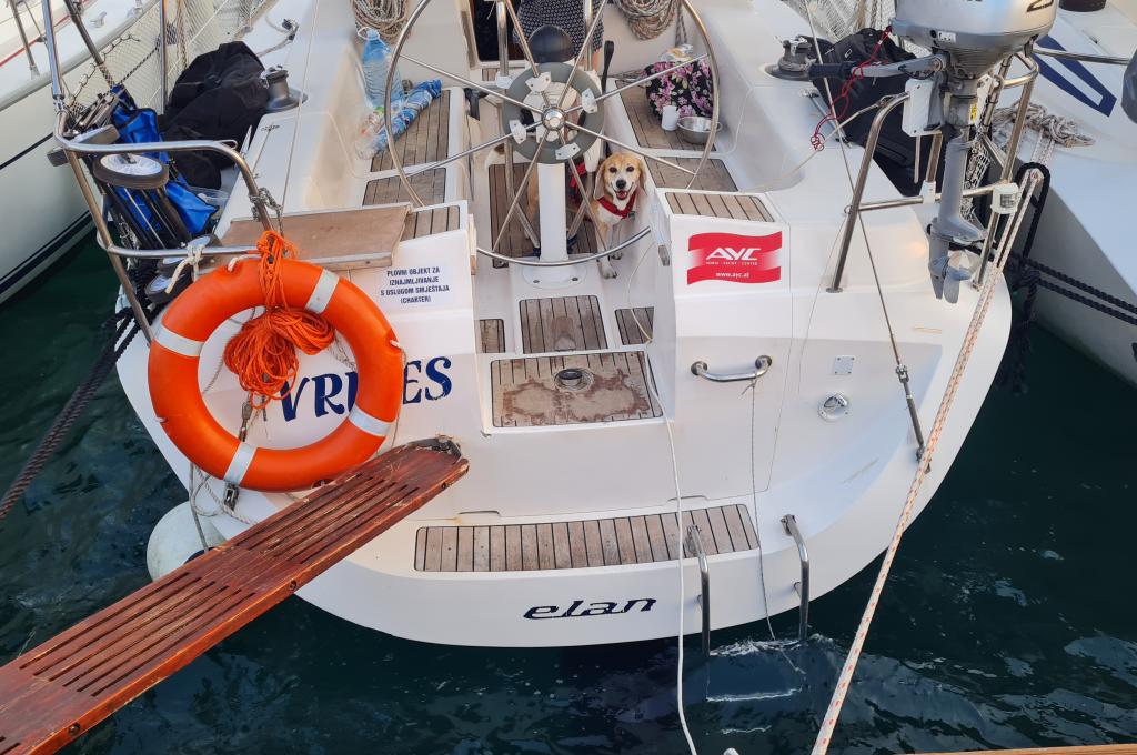 Original-Foto eines Kunden | aufgenommen am 06.08.2022