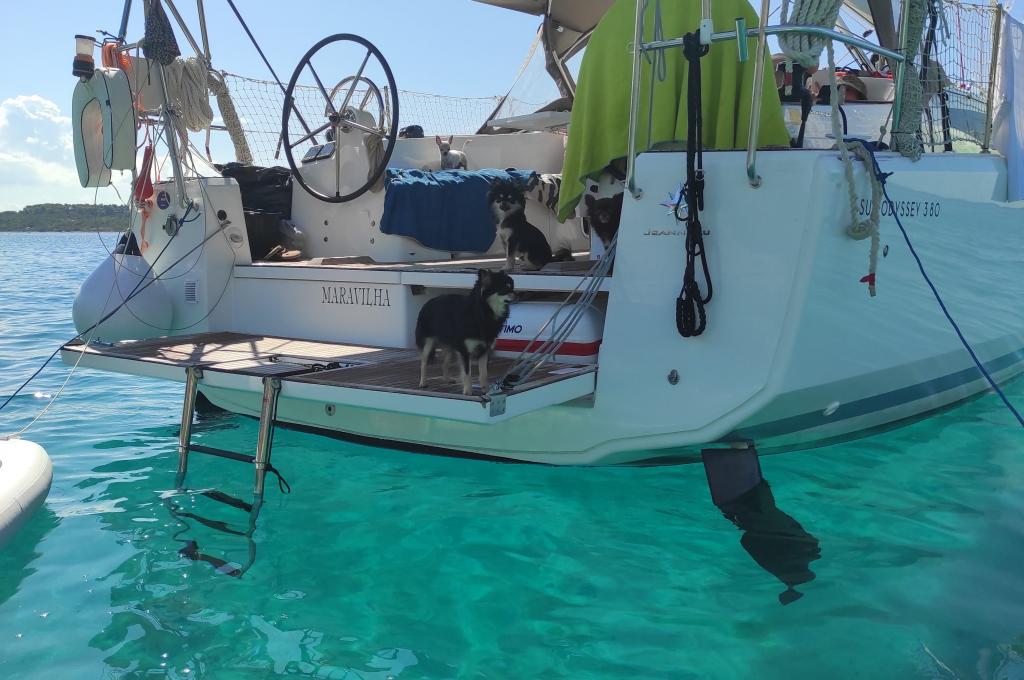 Original-Foto eines Kunden