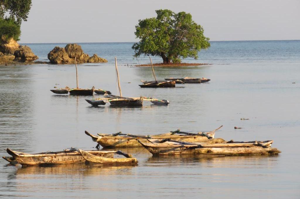 Original-Foto | aufgenommen am 07.06.2023