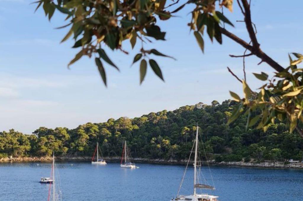 Original-Foto | aufgenommen am 15.06.2022