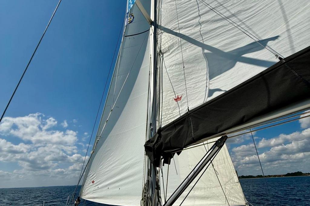 Original-Foto eines Kunden | aufgenommen am 09.08.2025