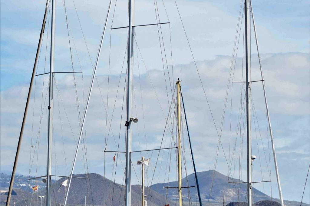 Original-Foto | aufgenommen am 02.03.2019