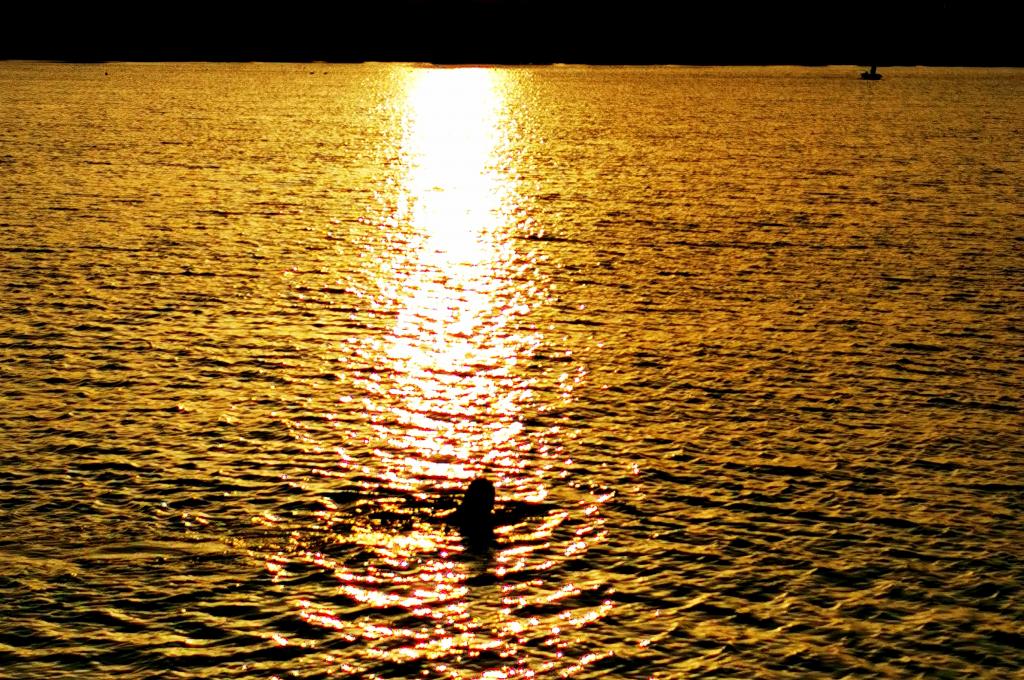 Katalog-Foto (evt. abweichend) | aufgenommen am 10.05.2022