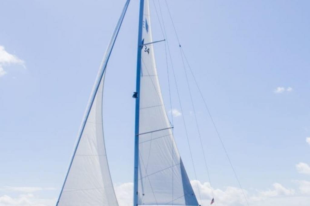 Katalog-Foto (evt. abweichend)