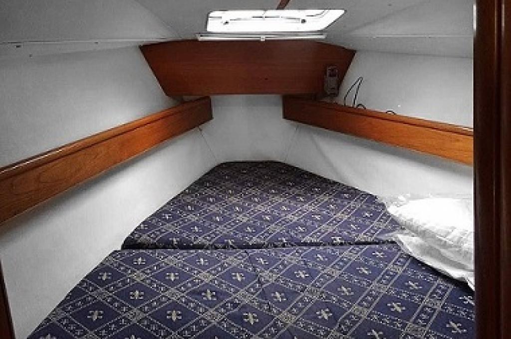 Katalog-Foto (evt. abweichend)