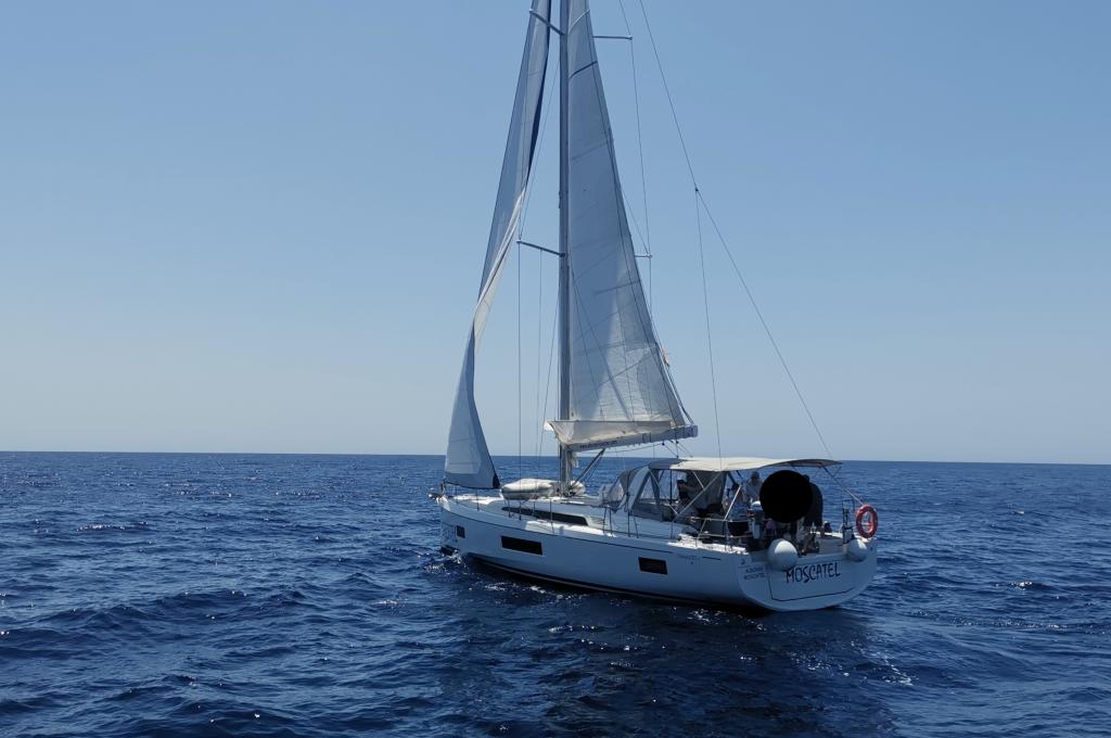 Original-Foto eines Kunden | aufgenommen am 08.06.2025