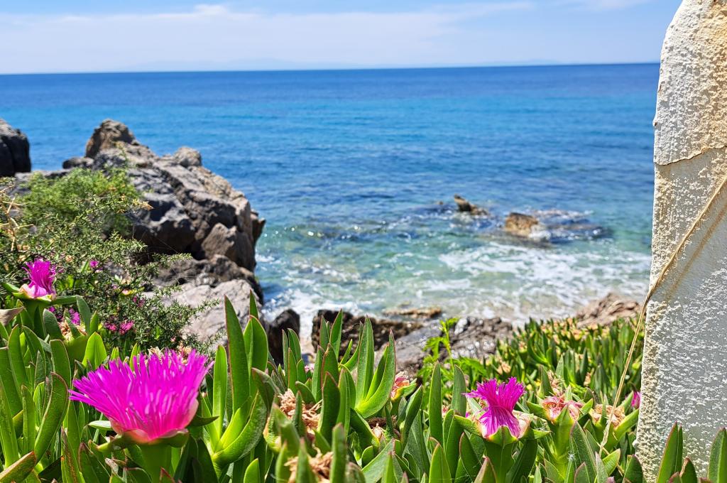 Original-Foto eines Kunden