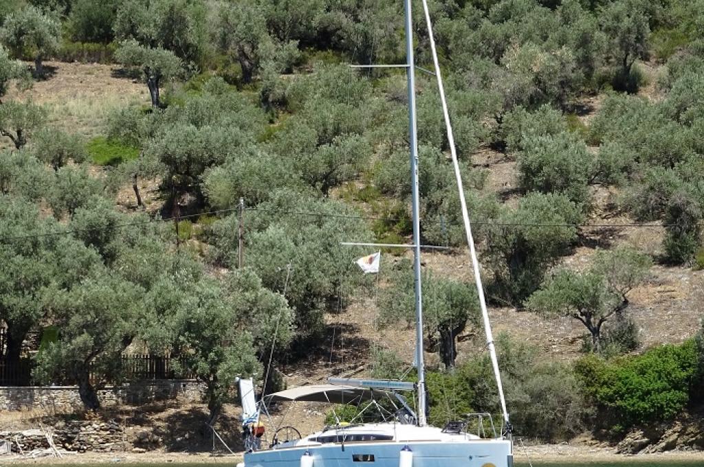 Original-Foto | aufgenommen am 20.07.2018