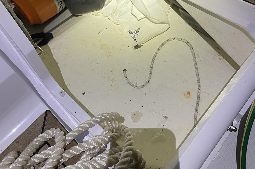 Original-Foto eines Kunden