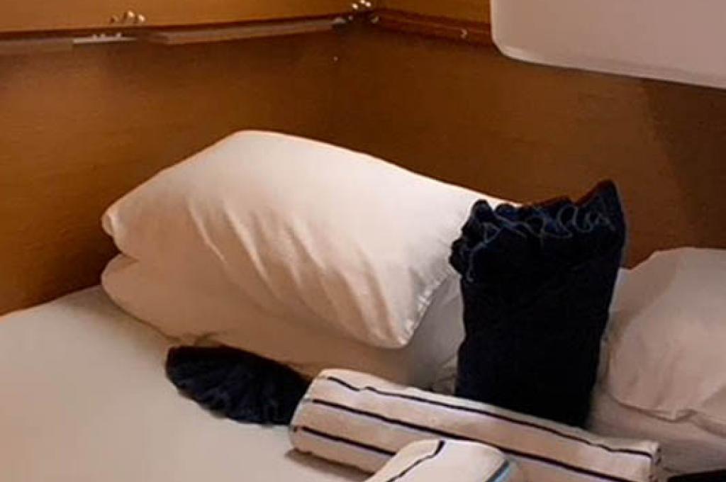 Original-Foto | aufgenommen am 23.11.2021