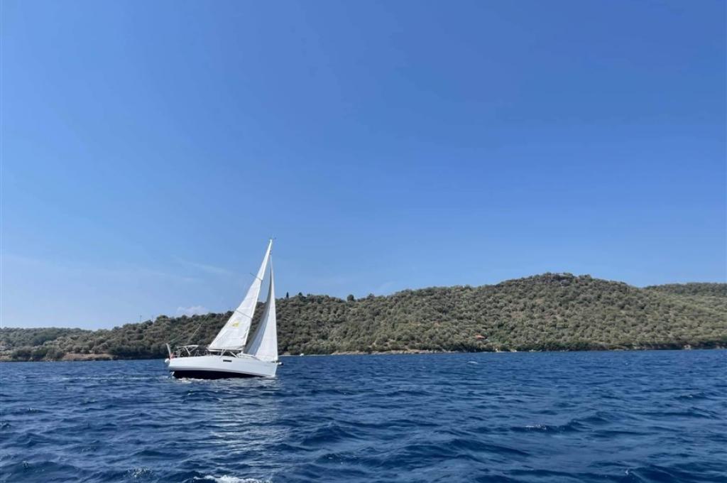 Katalog-Foto (evt. abweichend)