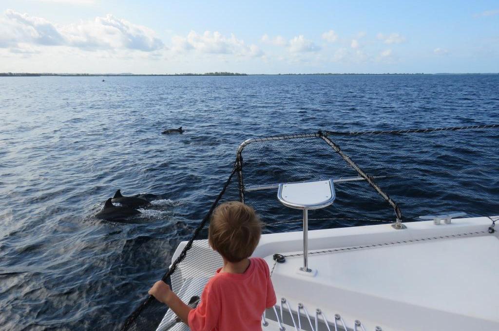 Original-Foto | aufgenommen am 14.06.2023