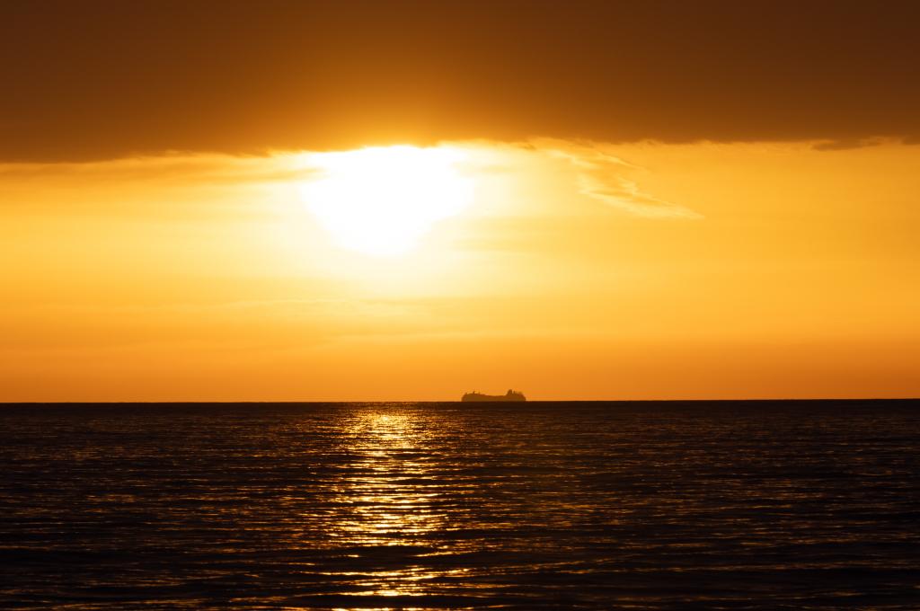 Original-Foto | aufgenommen am 08.05.2025