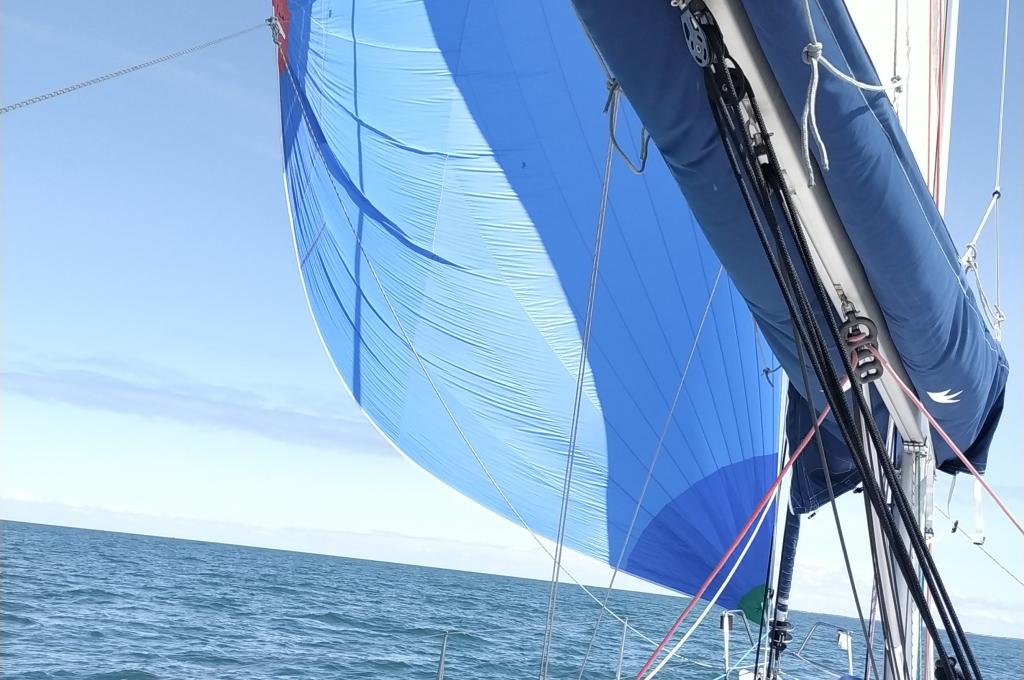 Original-Foto | aufgenommen am 19.07.2023