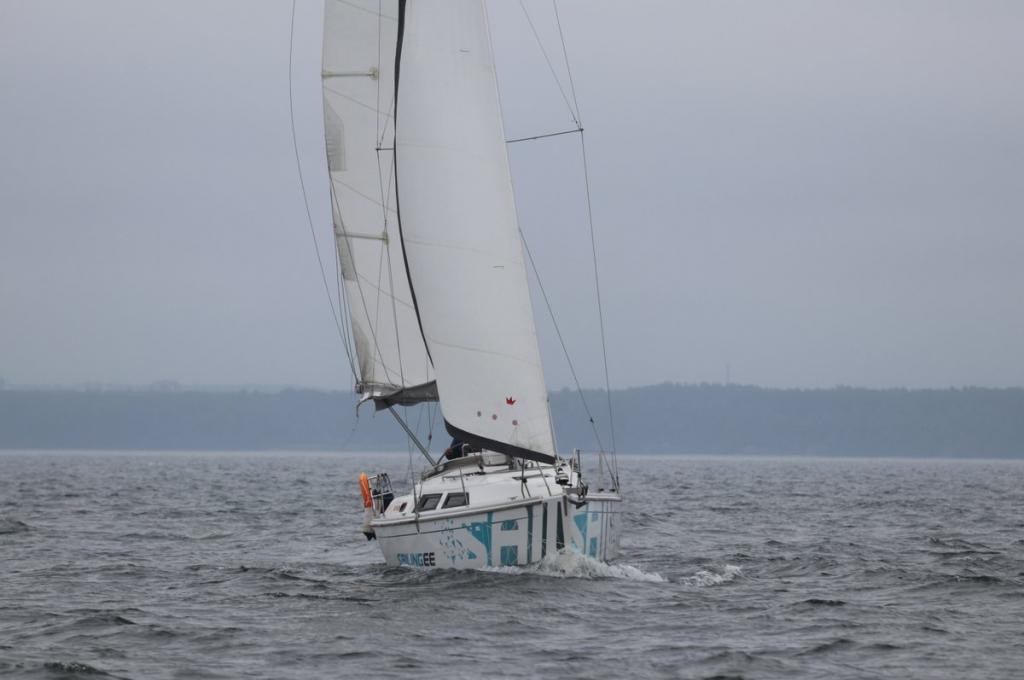 Original-Foto eines Kunden | aufgenommen am 14.06.2019