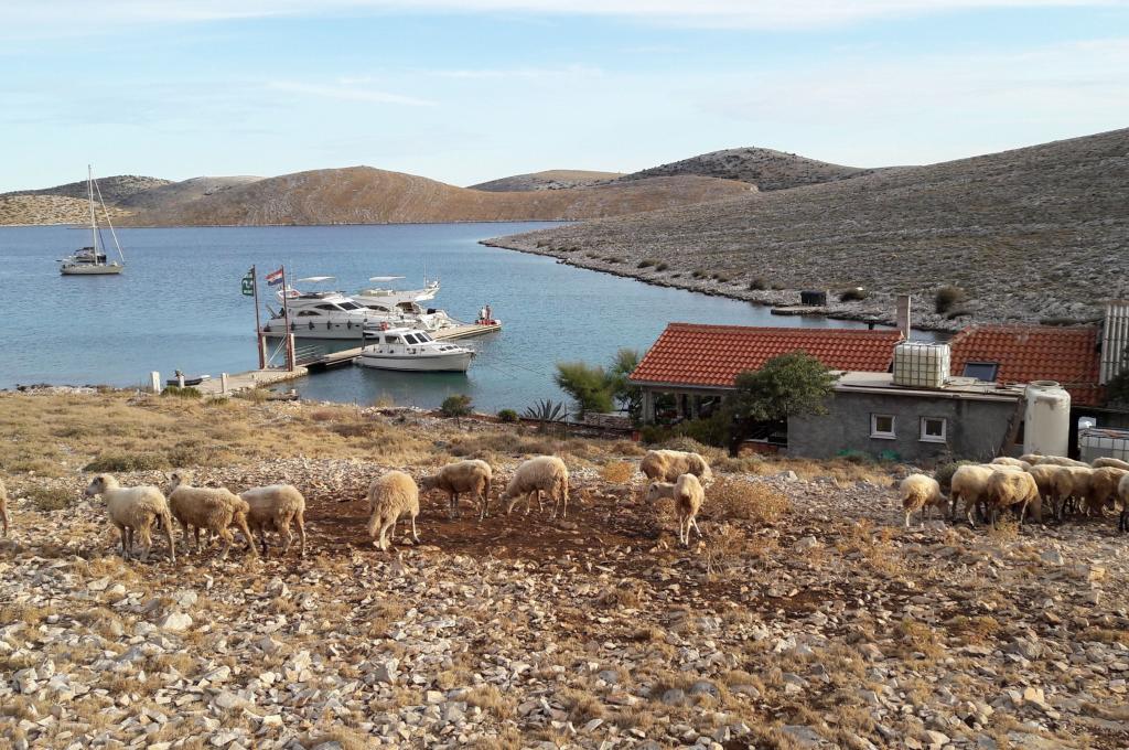 Original-Foto eines Kunden | aufgenommen am 04.09.2017