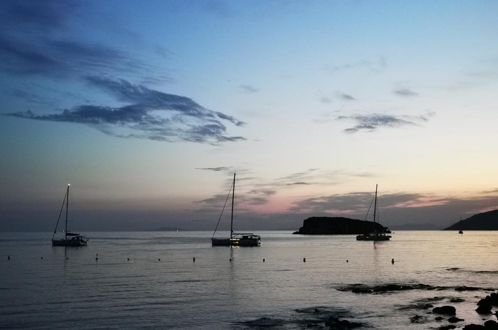 Katalog-Foto (evt. abweichend) | aufgenommen am 13.05.2022