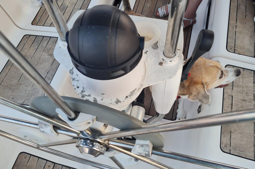 Original-Foto eines Kunden | aufgenommen am 06.08.2022