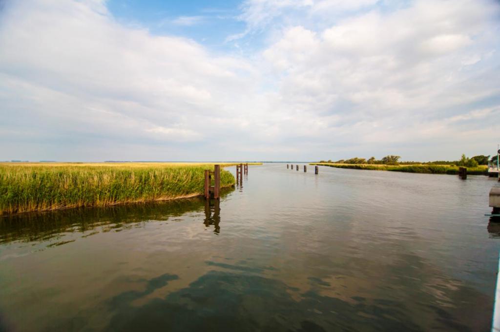 Katalog-Foto (evt. abweichend)