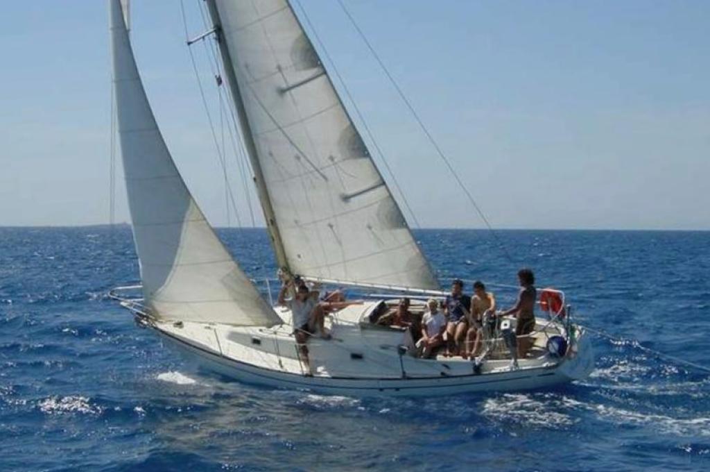 Katalog-Foto (evt. abweichend)