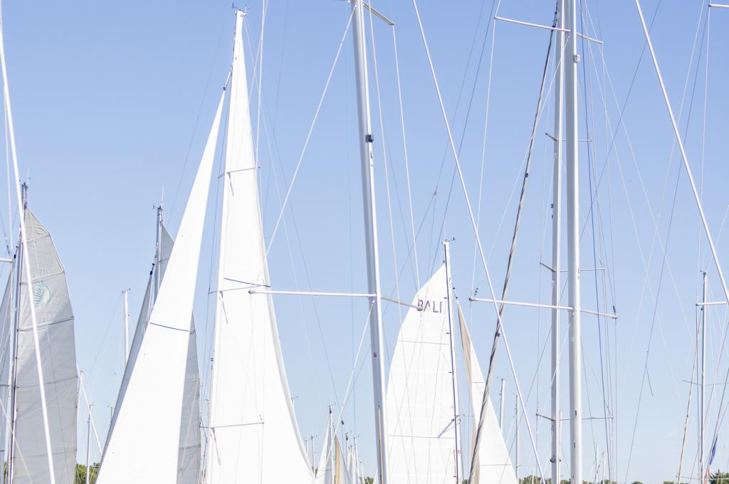 Original-Foto | aufgenommen am 31.10.2024