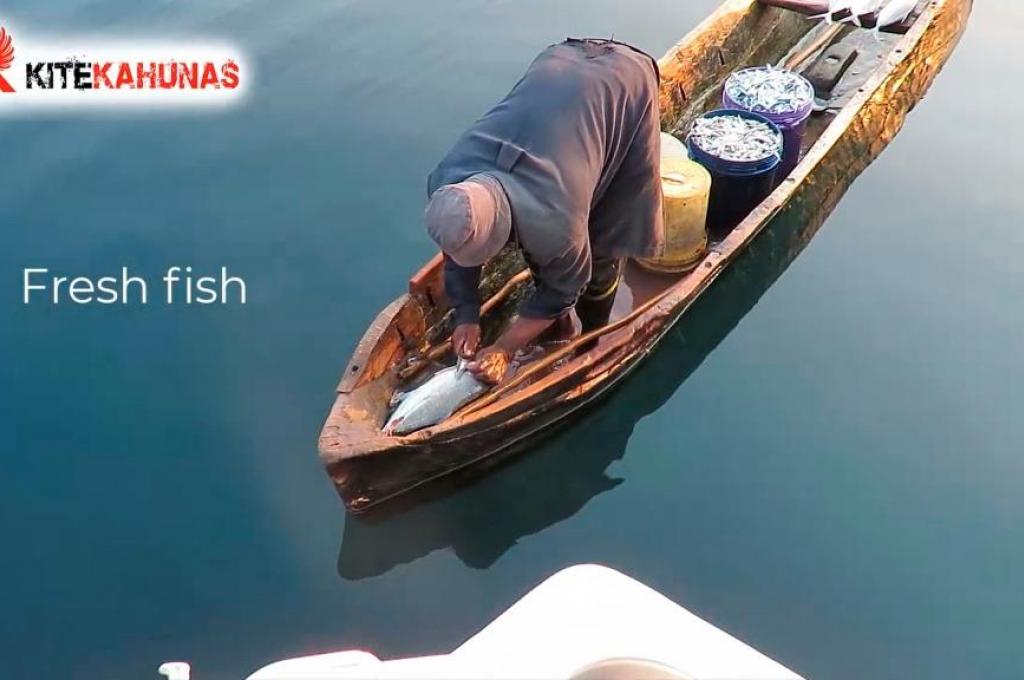 Original-Foto | aufgenommen am 05.11.2023