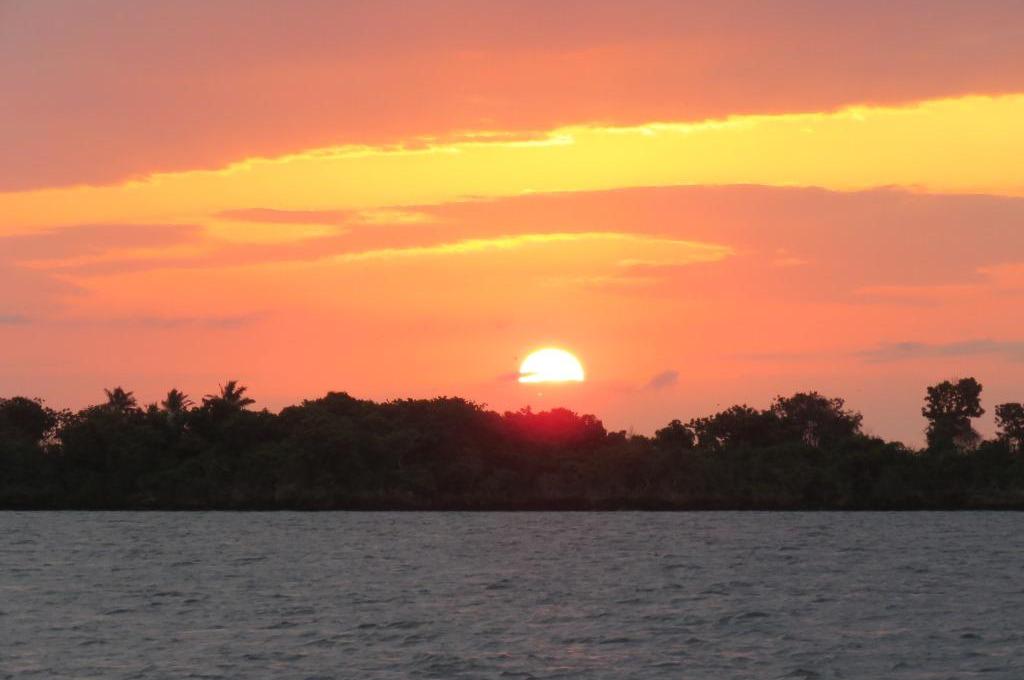 Original-Foto | aufgenommen am 12.06.2023