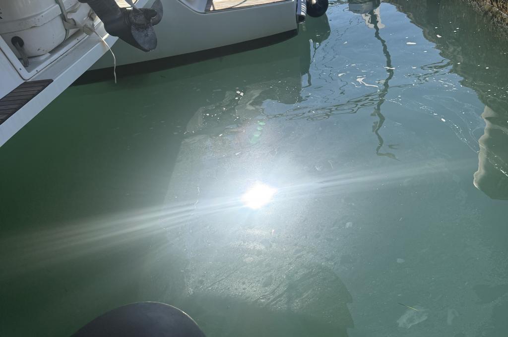 Original-Foto eines Kunden