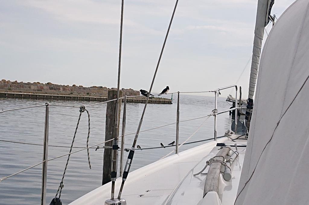 Original-Foto eines Kunden | aufgenommen am 24.07.2022 | Vercharterer hat mehrere baugleiche Yachten. Abweichungen sind möglich.