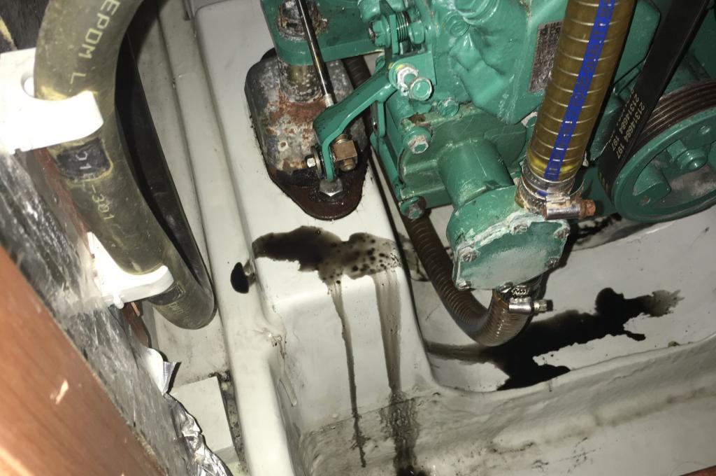 Original-Foto eines Kunden