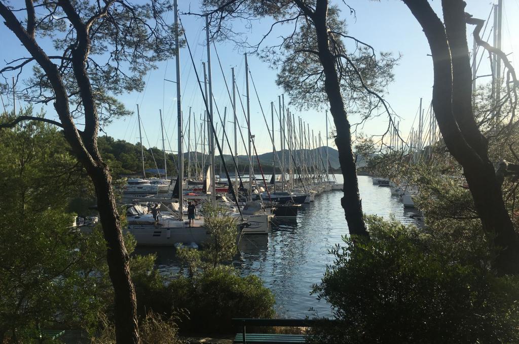 Original-Foto eines Kunden | aufgenommen am 26.09.2019