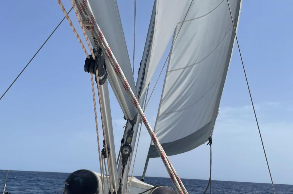 Original-Foto eines Kunden | aufgenommen am 15.06.2021