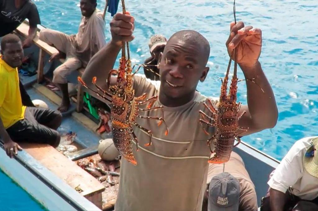 Original-Foto | aufgenommen am 05.11.2023