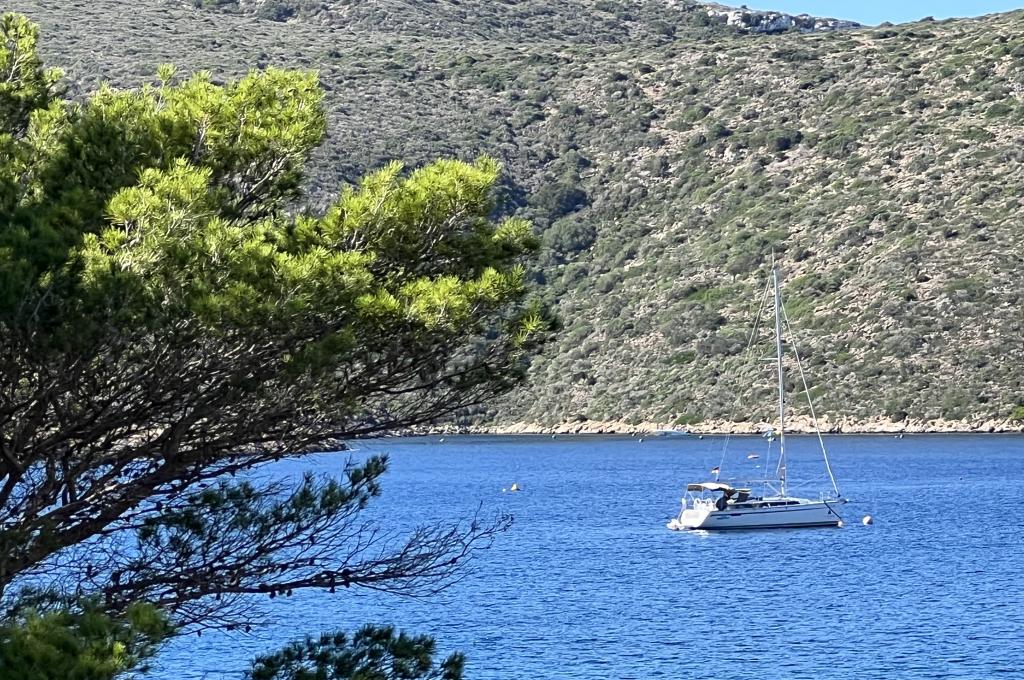 Original-Foto eines Kunden | aufgenommen am 27.10.2025