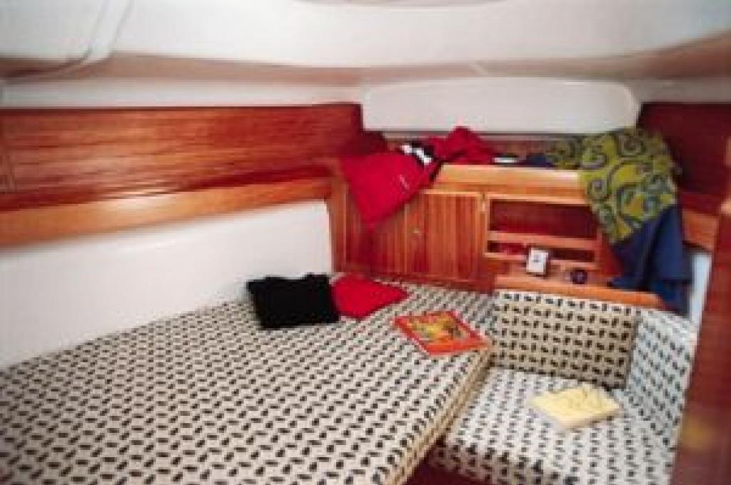 Katalog-Foto (evt. abweichend)