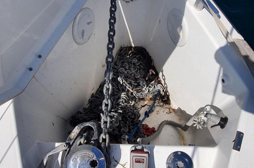 Original-Foto eines Kunden