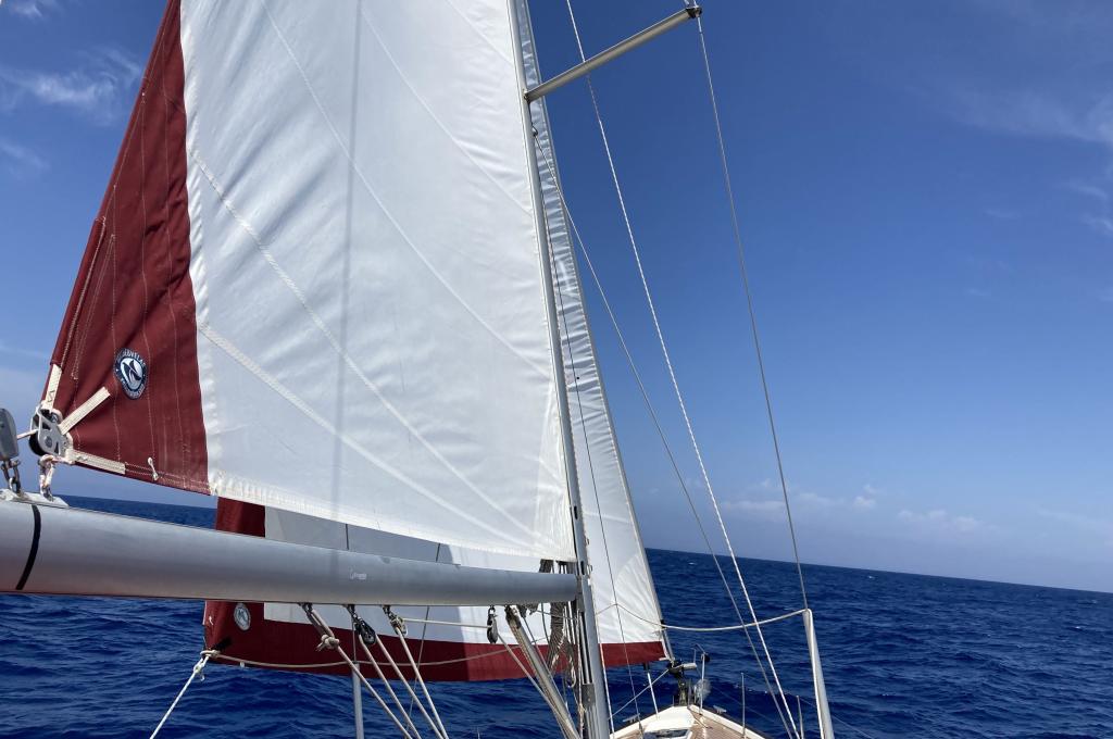 Original-Foto eines Kunden | aufgenommen am 03.06.2021