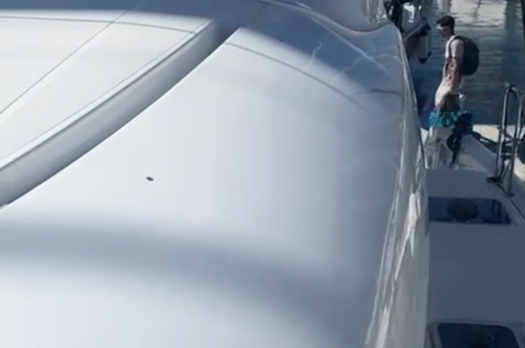 Original-Foto eines Kunden